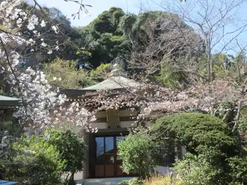 長勝寺の景色