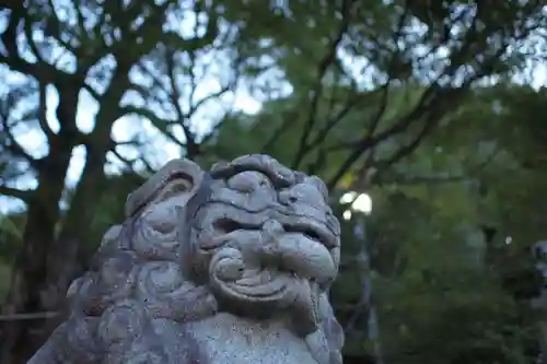 橿森神社の狛犬