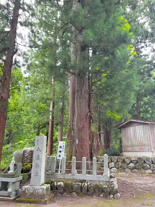 八海神社(新潟県)