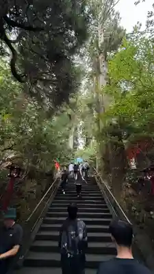 箱根神社(神奈川県)