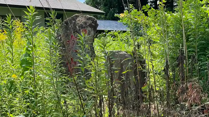 清行院 深堀観音堂の自然