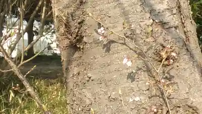 比佐豆知神社(三重県)