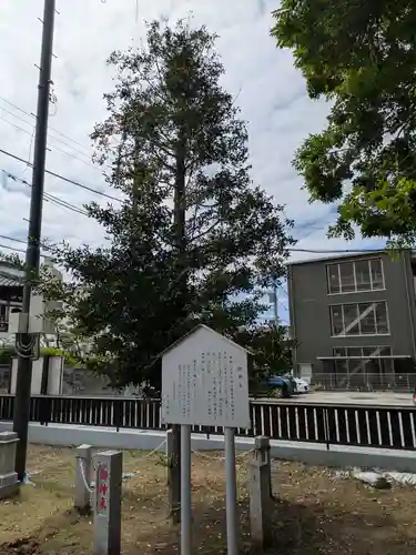 王子神社の御朱印