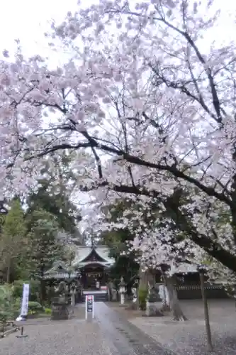 岩槻久伊豆神社(埼玉県)