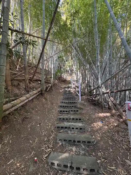 雪蹊寺奥の院(中谷観音堂)の景色