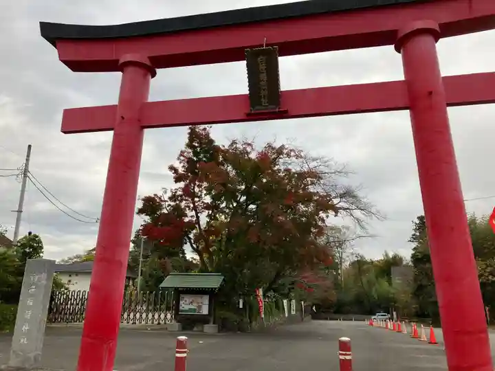 白笹稲荷神社の鳥居
