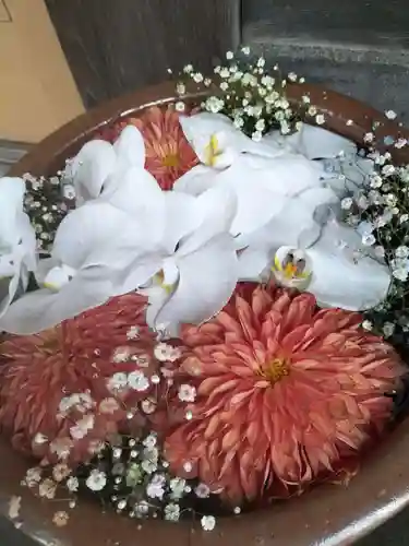 多賀神社の手水舎