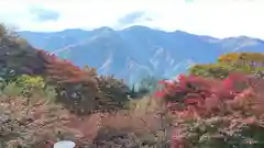 三峯神社(埼玉県)