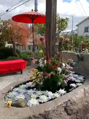 水堂須佐男神社の手水