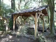 磯神社の手水