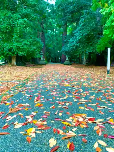若狭彦神社（上社）の自然