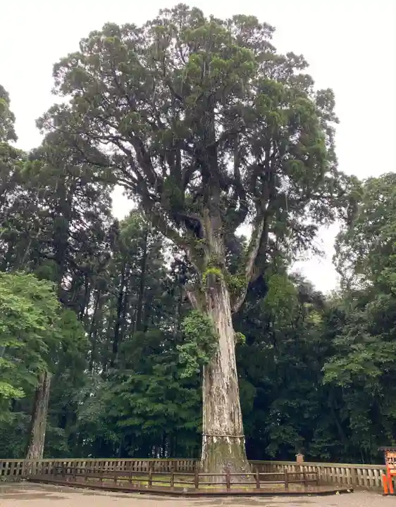 霧島神宮(鹿児島県)