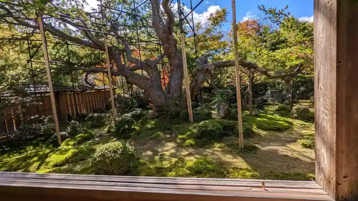 宝泉院(京都府)