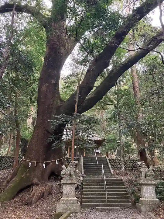 豊浦神社(三重県)