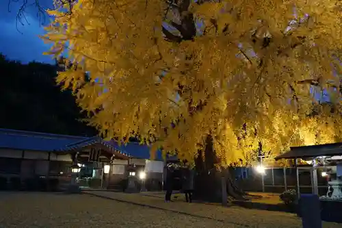 丹生酒殿神社のその他建物