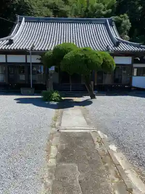 大善寺(大分県)