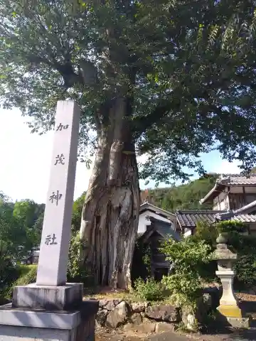 加茂神社(福井県)