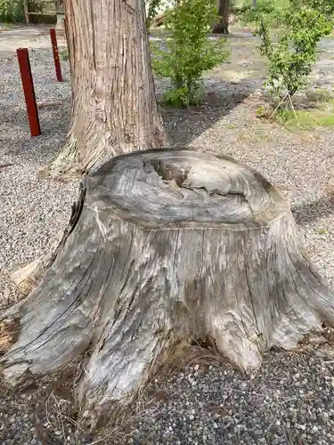 山越諏訪神社(北海道)