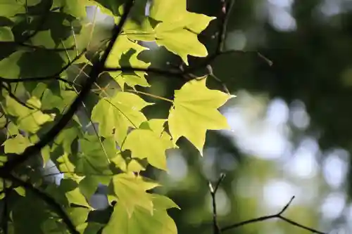 萬寿神社の庭園