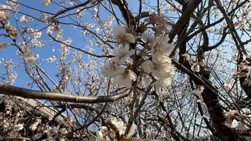 秩父札所十三番 慈眼寺(埼玉県)