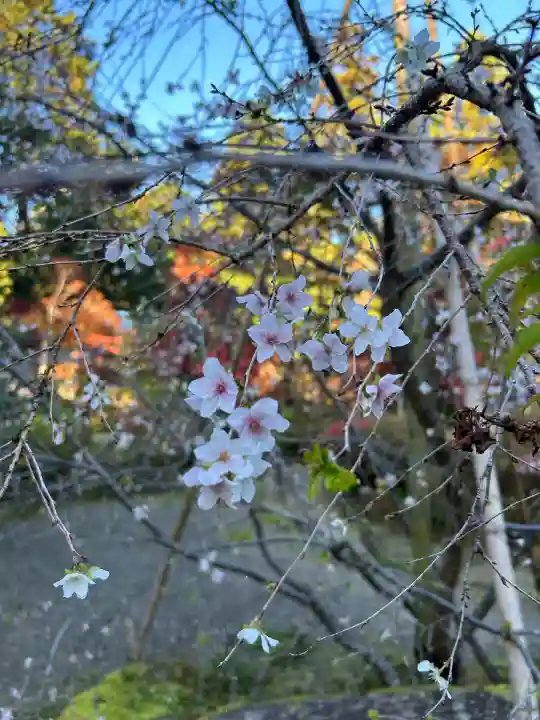 西明寺(滋賀県)