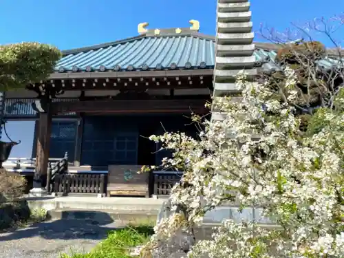 満福寺の本殿・本堂