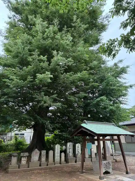 三社大神(千葉県)