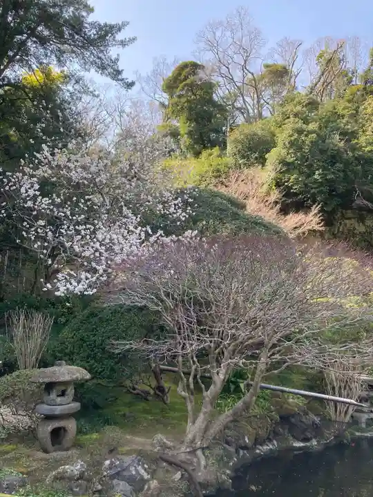 報国寺(神奈川県)