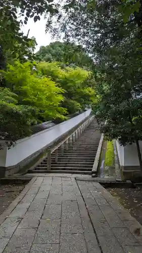 知恩院(京都府)