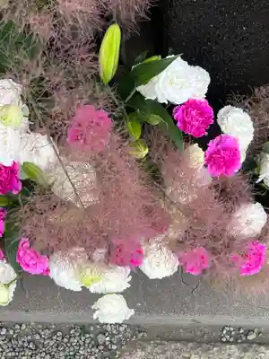 上尾御嶽神社の手水舎