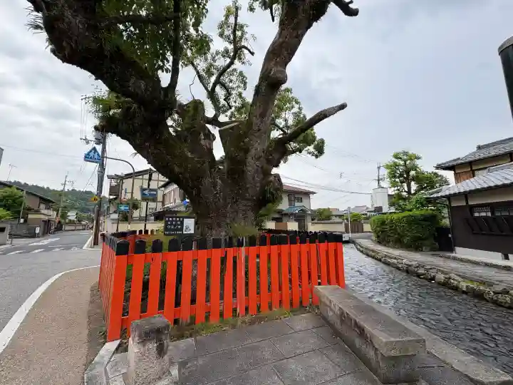 藤木社(賀茂別雷神社末社)の{uncategorized: "未分類", other: "その他", undefined: "問題あり", building: "その他建物", grave: "お墓", sacred_gate: "鳥居", guardian: "狛犬", statue: "像", buddha: "仏像", history: "歴史", nature: "自然", garden: "庭園", animal: "動物", pagoda: "塔", temizu: "手水舎", mountain_gate: "山門・神門", sanctuary: "本殿・本堂", subordinate: "末社・摂社", art: "芸術", scenery: "景色", jizo: "地蔵", ema: "絵馬", goshuin: "御朱印", omikuji: "おみくじ", items: "授与品その他", amulet: "お守り", goshuincho: "御朱印帳", eats: "食事", festival: "お祭り", votive_dance: "神楽", shichigosan: "七五三参", wedding: "結婚式", experience: "体験その他", initially: "初詣", around: "周辺", anti_infection: "感染症対策"}