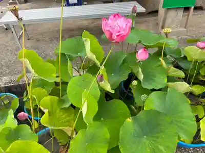 雲龍山 本證寺(愛知県)