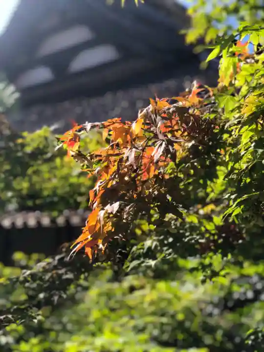 木舟山 順教寺の自然