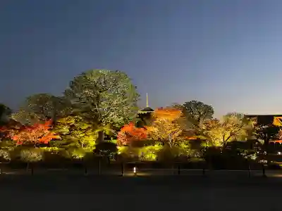 東寺（教王護国寺）(京都府)