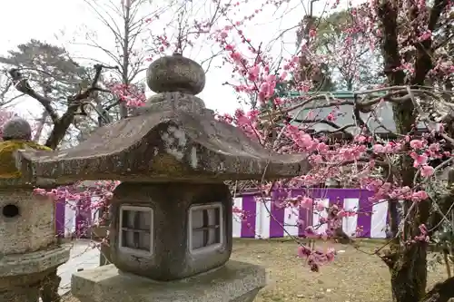 北野天満宮の庭園