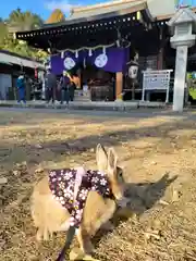 下新倉氷川八幡神社(埼玉県)