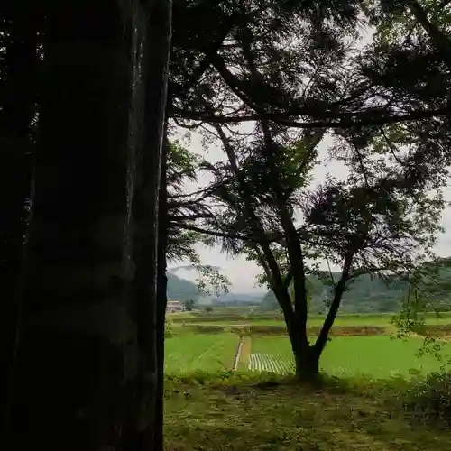 高司神社〜むすびの神の鎮まる社〜の景色