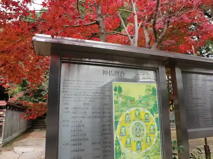 新熊野神社(京都府)