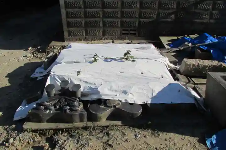 東福寺のその他建物