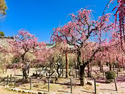 結城神社(三重県)