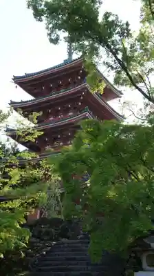 竹林寺(高知県)