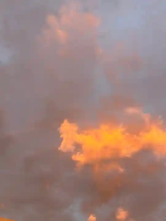 櫻木神社(千葉県)