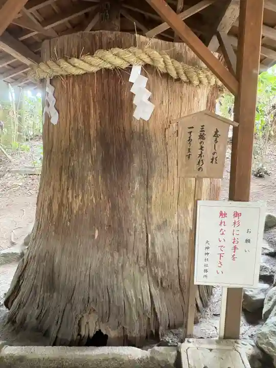 大神神社の{uncategorized: "未分類", other: "その他", undefined: "問題あり", building: "その他建物", grave: "お墓", sacred_gate: "鳥居", guardian: "狛犬", statue: "像", buddha: "仏像", history: "歴史", nature: "自然", garden: "庭園", animal: "動物", pagoda: "塔", temizu: "手水舎", mountain_gate: "山門・神門", sanctuary: "本殿・本堂", subordinate: "末社・摂社", art: "芸術", scenery: "景色", jizo: "地蔵", ema: "絵馬", goshuin: "御朱印", omikuji: "おみくじ", items: "授与品その他", amulet: "お守り", goshuincho: "御朱印帳", eats: "食事", festival: "お祭り", votive_dance: "神楽", shichigosan: "七五三参", wedding: "結婚式", experience: "体験その他", initially: "初詣", around: "周辺", anti_infection: "感染症対策"}