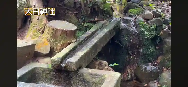 太田神社(京都府)