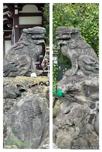 高木神社の狛犬