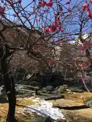 湯島天満宮の庭園