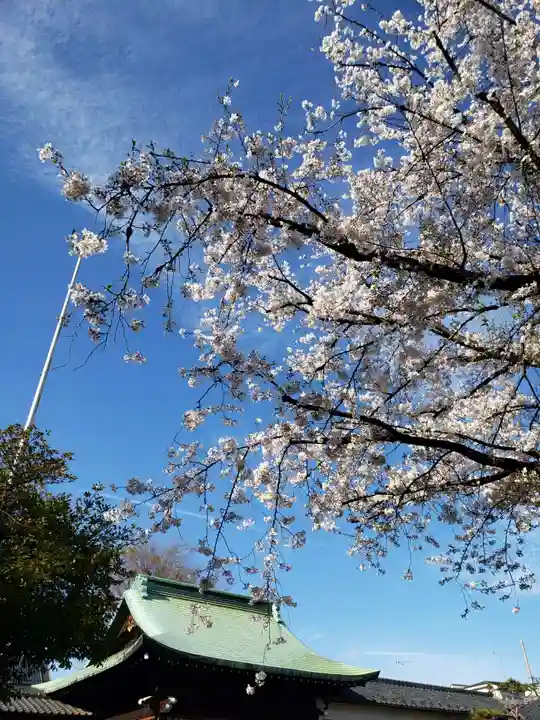 本郷氷川神社(東京都)