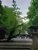 乃木神社(東京都)