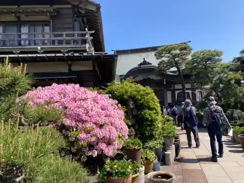 日蓮宗龍口山本龍寺のその他建物