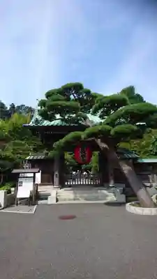 長谷寺の山門・神門